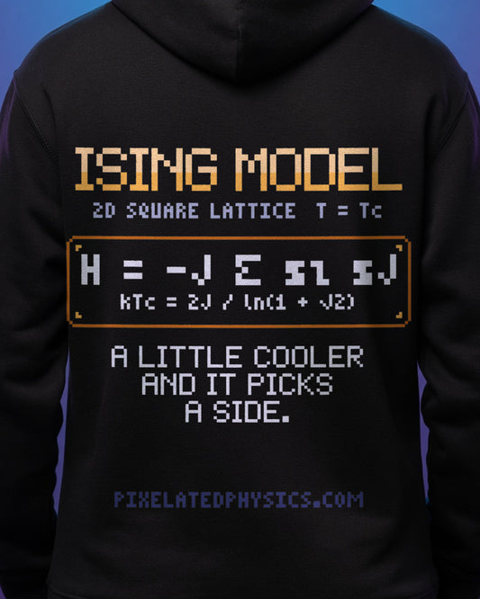 Black Ising Model physics hoodie, pixel-art Ising model at the critical point design, worn by a model, back close-up