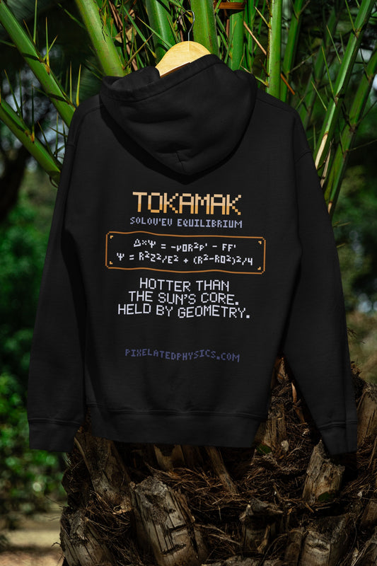 Tokamak Hoodie – NESTED, NEVER TOUCHING | Pixelated Physics – flat back