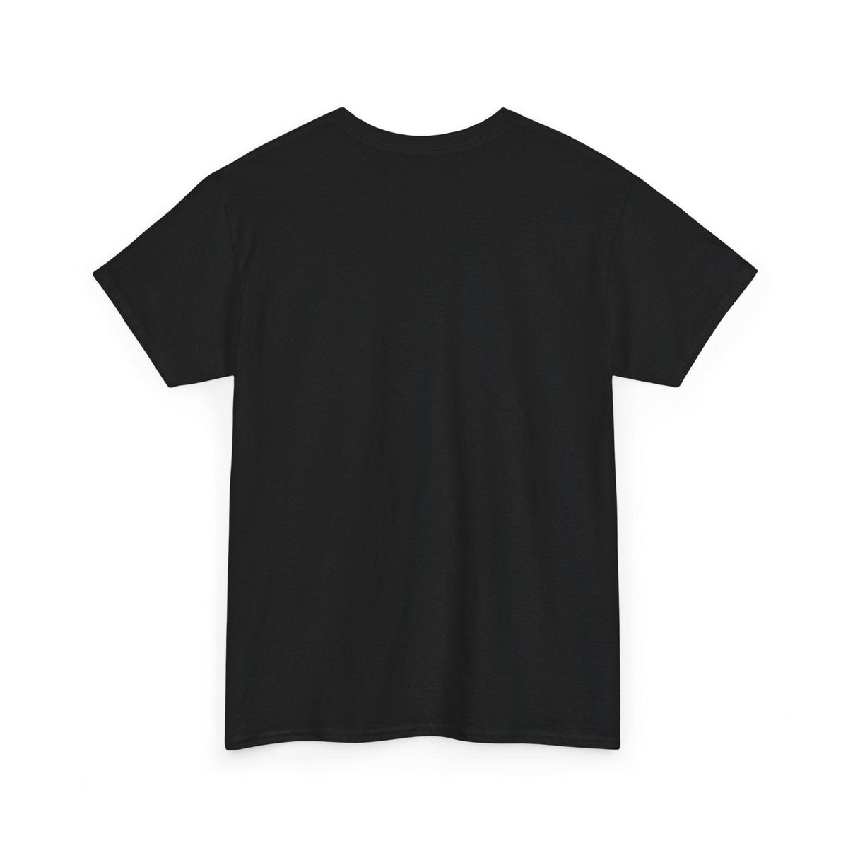 Black Plasma Drift physics T-shirt, plain back view